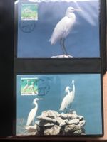 WWF Singapur 1993 China-Seidenreiher Satz Maximumkarten