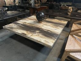 Tisch Fossil Couchtisch Versteinertes Holz petrified wood