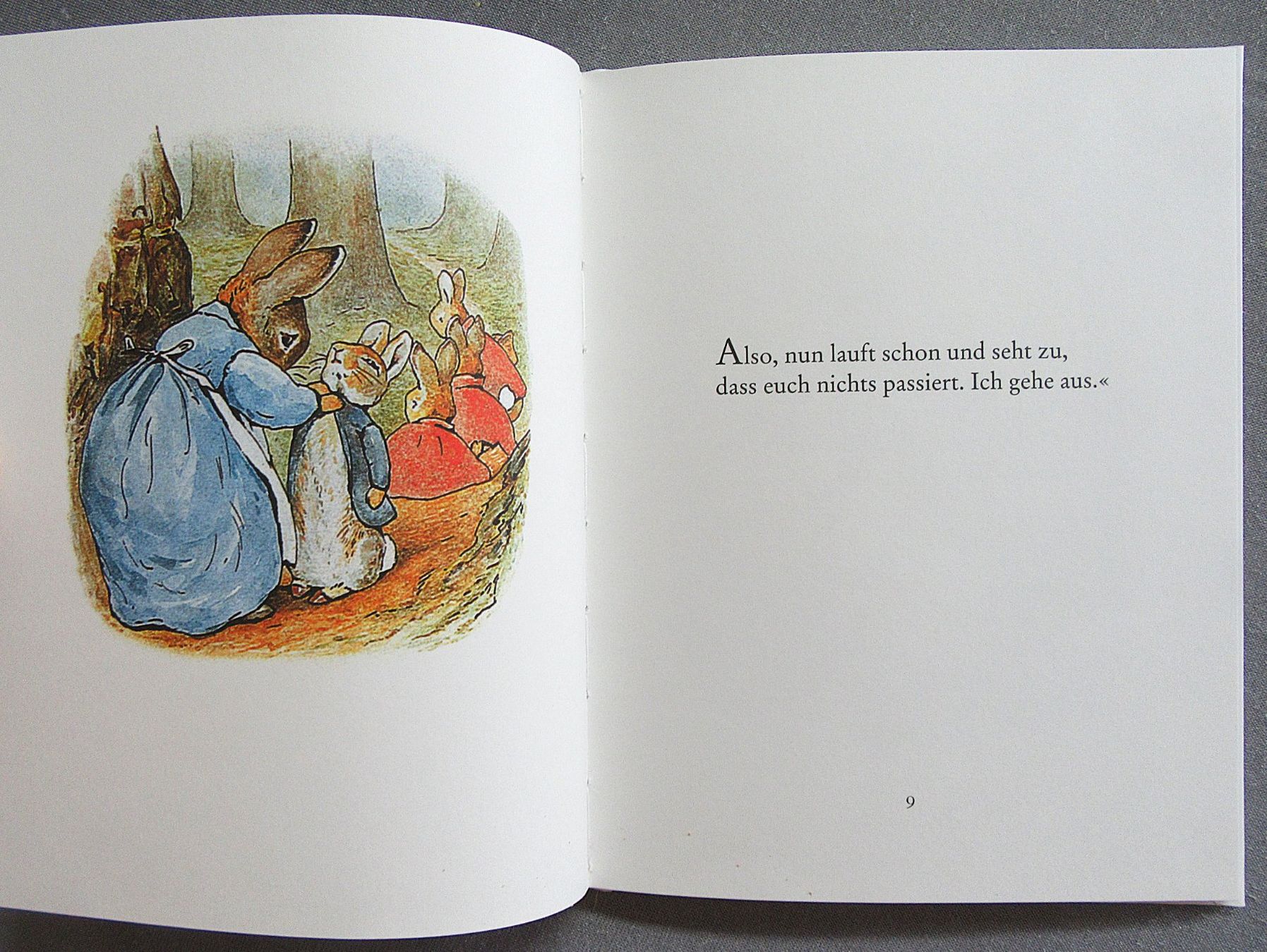 Livres: Die Geschichte von Peter Hase - kleines Bilderbuch – D'occasion à Auenstein par Padabimbim 2