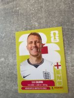 Panini Dan Burn ENG8