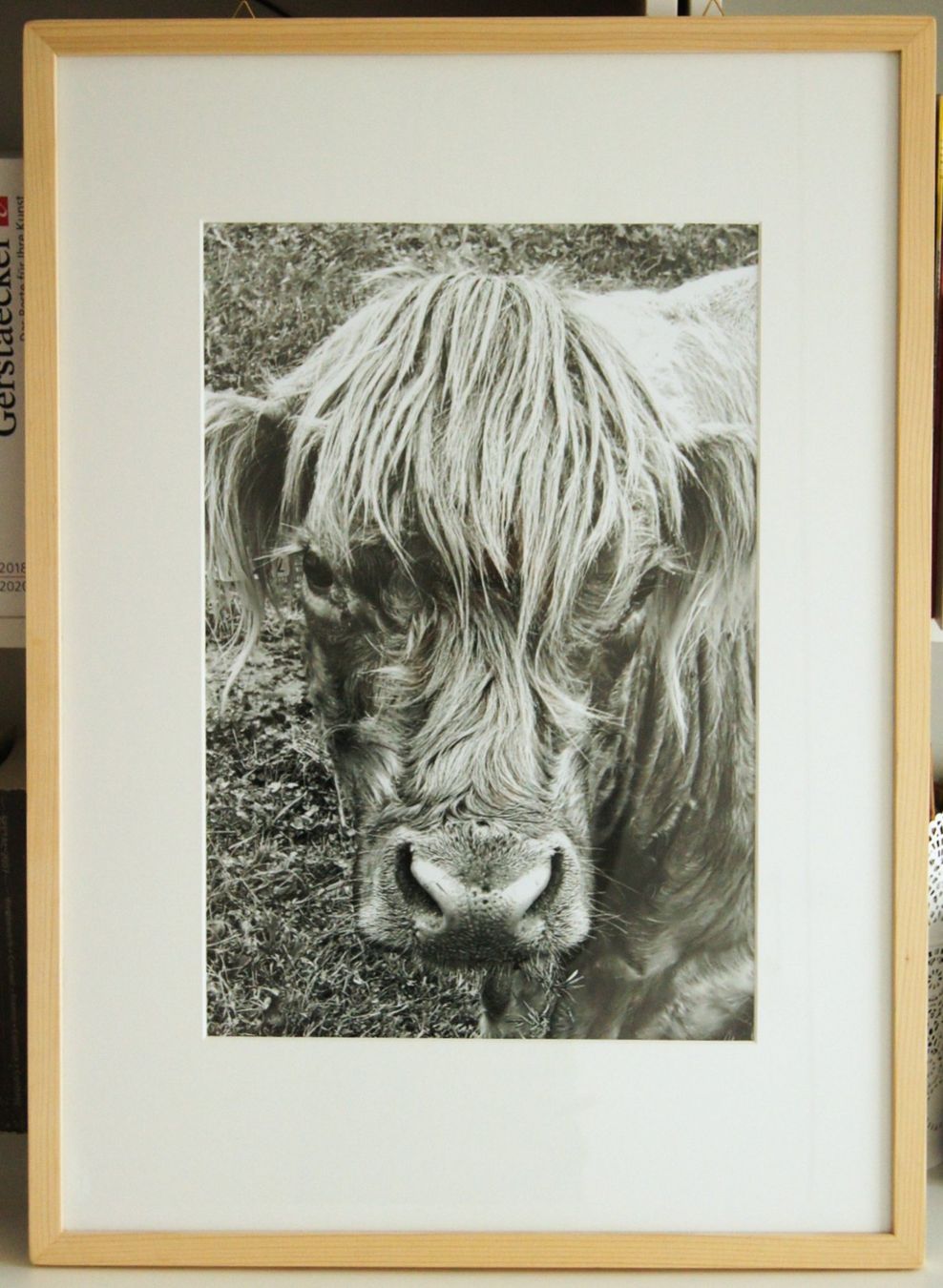 Foto & Immagini: Fotografie: Hippie Kuh – Nuovo (secondo la descrizione) da Fribourg venduto da erw_68dx