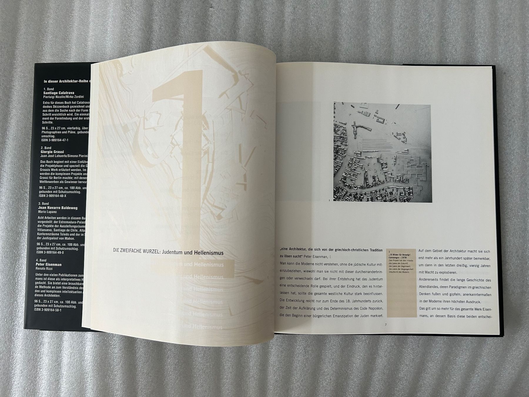 Libri: Peter Eisenmann - Mystisches Nichts - sein Werk – Usato da La Chaux-de-Fonds venduto da jacq_LaTsch0 2