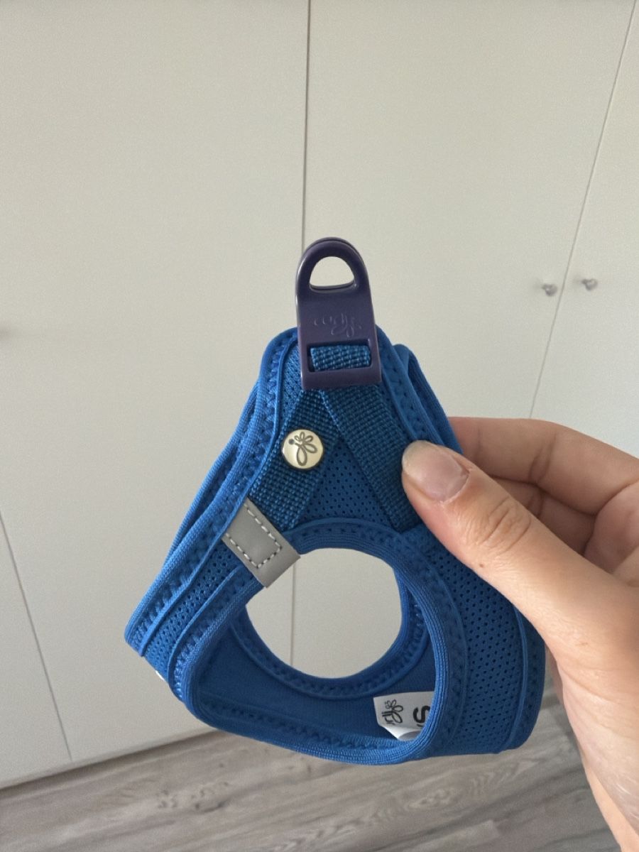 Collier et laisse: curli Hundegeschirr 3xs – Neuf (Voir description) à Dübendorf par koc_6l5j 1