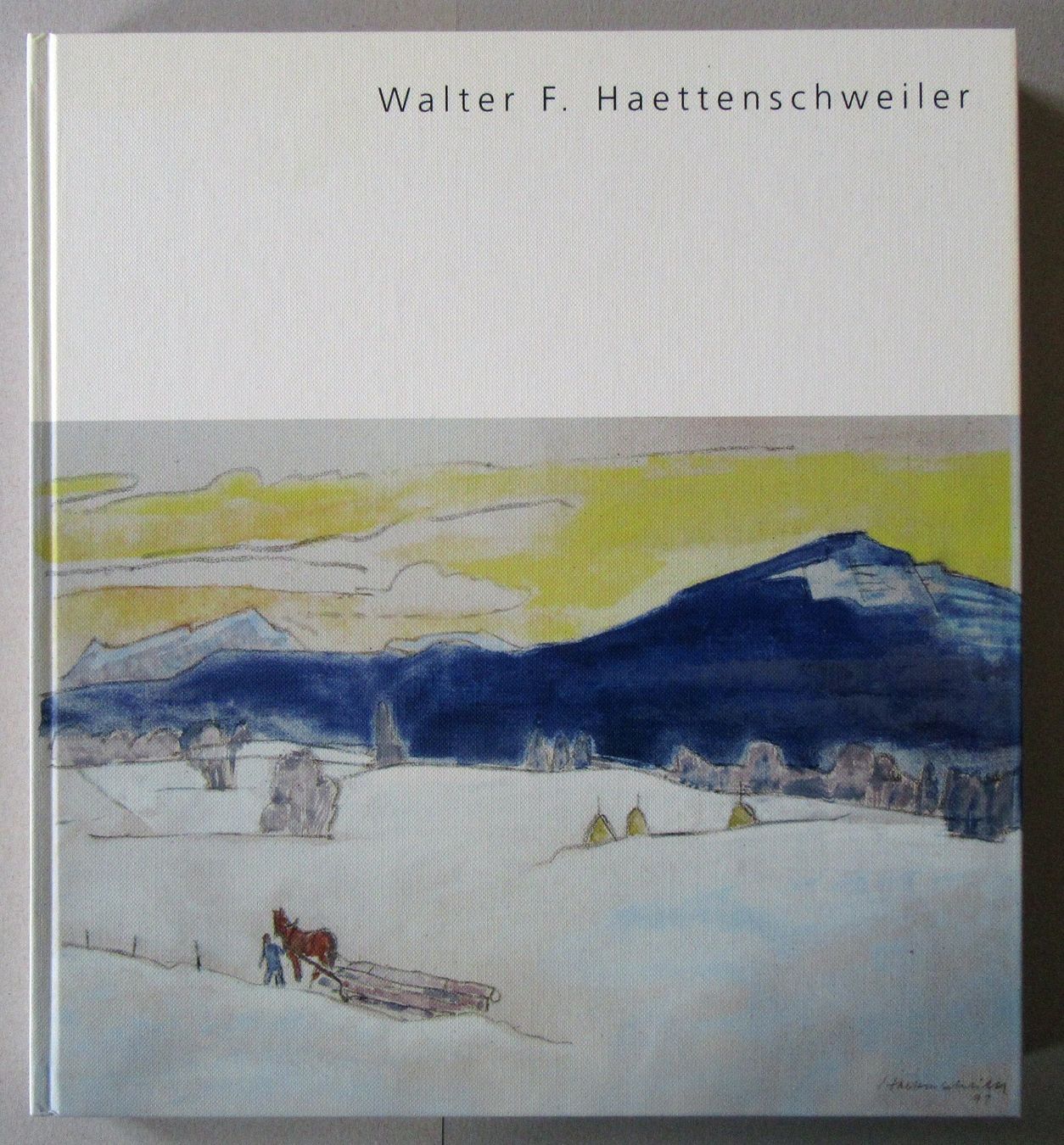 Libri: Walter F. Haettenschweiler, Kunstbuch – Usato da Suhr venduto da Pons7