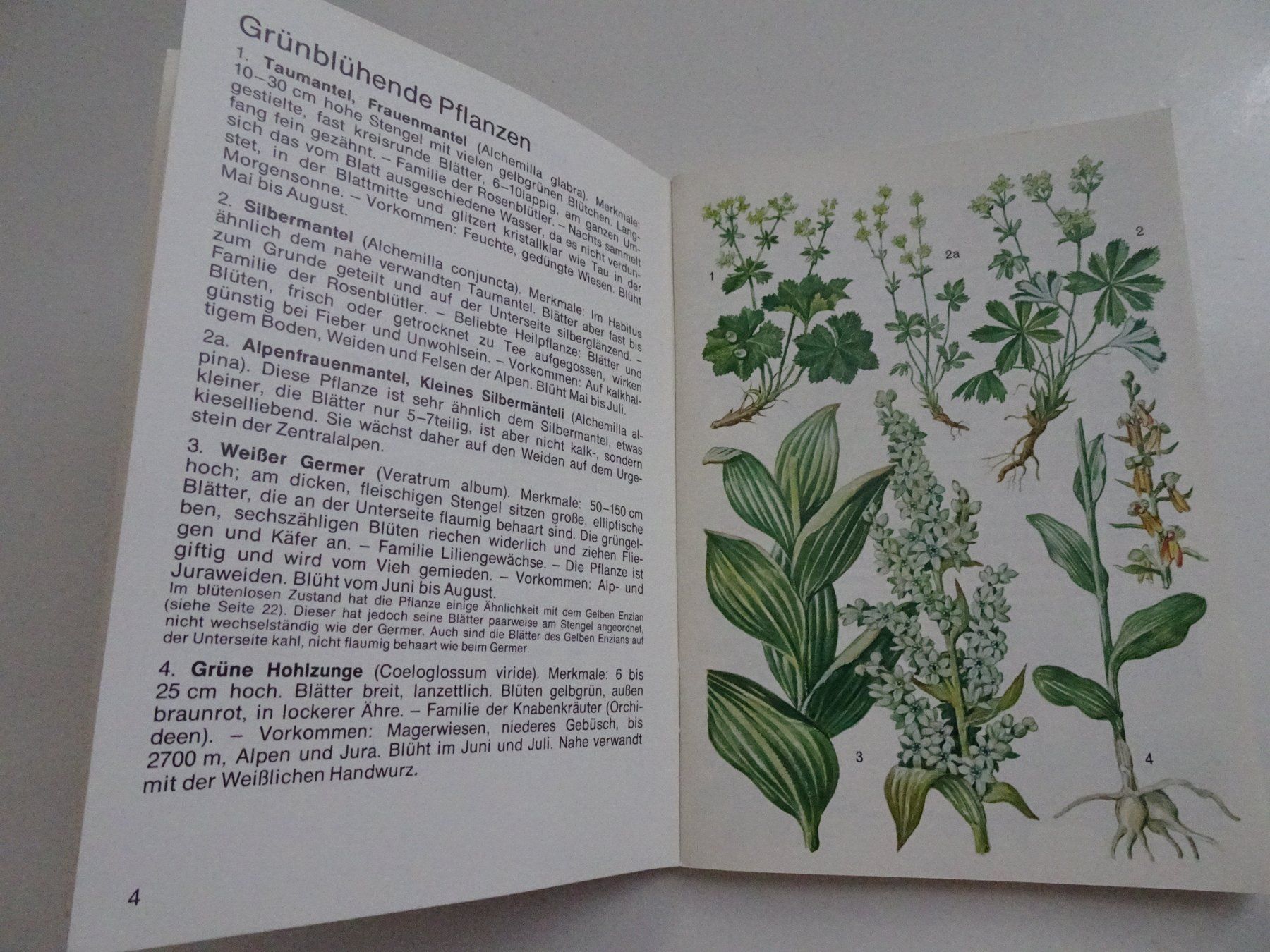 Libri: Alpenblumen - Walter Rytz – Usato da Winkel venduto da rsuzh 3