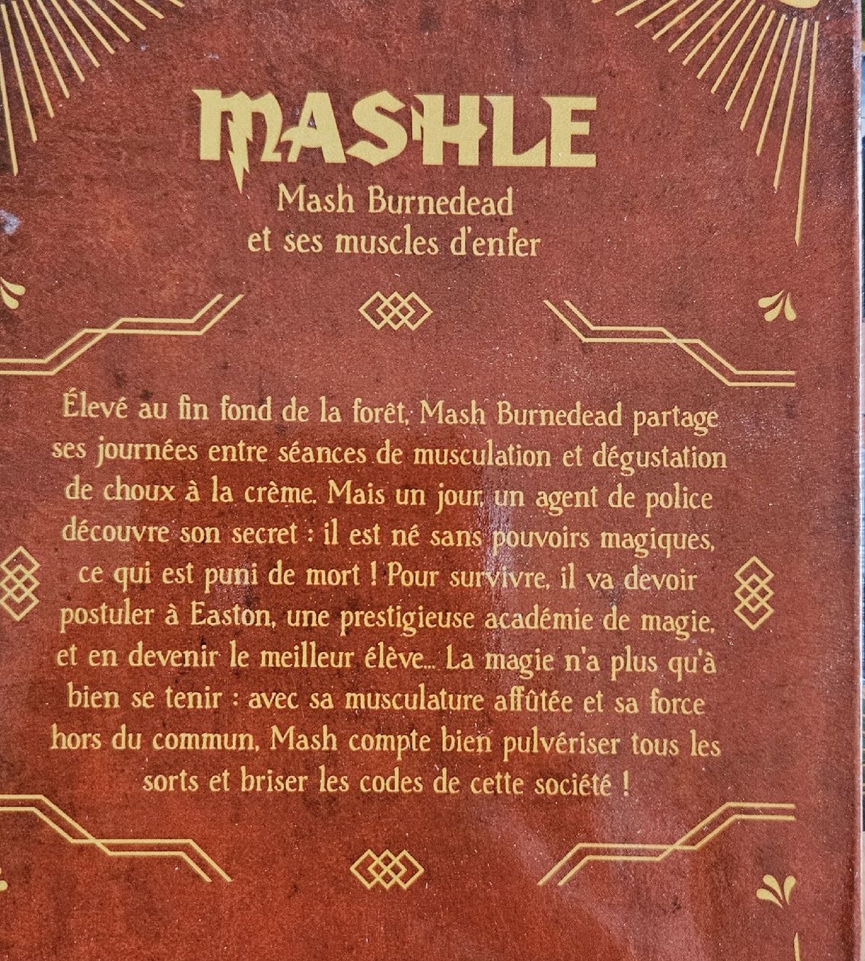 Fumetti: manga Mashle lot 1 à 10 – Nuovo (secondo la descrizione) da Carouge GE venduto da Lea000 1
