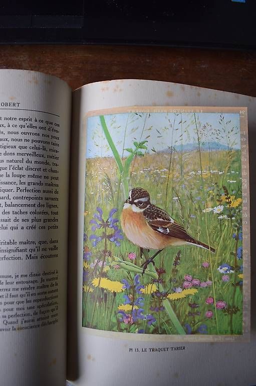 Libri: Léo Paul Robert – Usato da Brügg BE venduto da Aristotolius