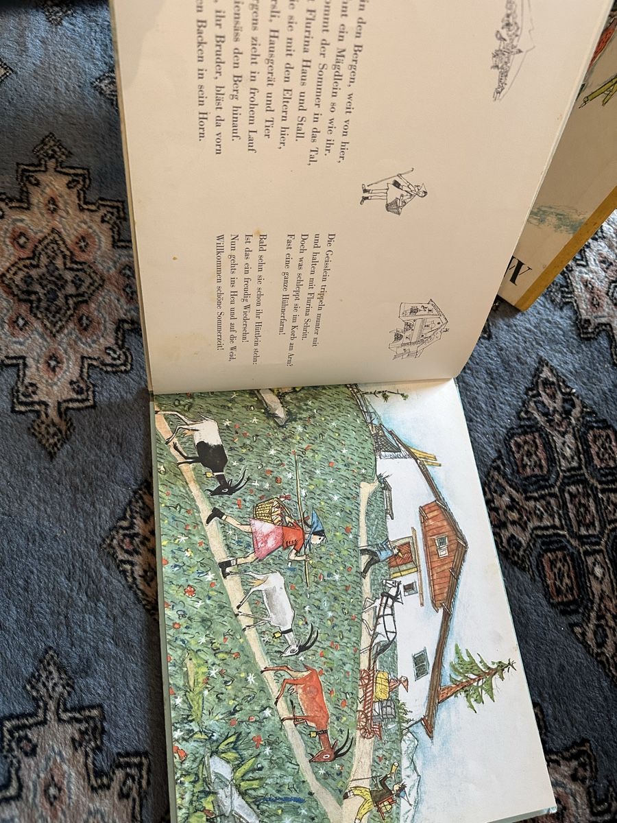 Libri: Flurina und wildvöglein – Usato da Uster venduto da bek_v2ct 4