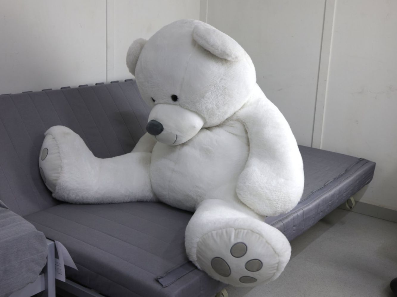 Manor Giocattoli: XL Plüsch-Teddybär – Usato da Volketswil venduto da brockipfannenstil 3