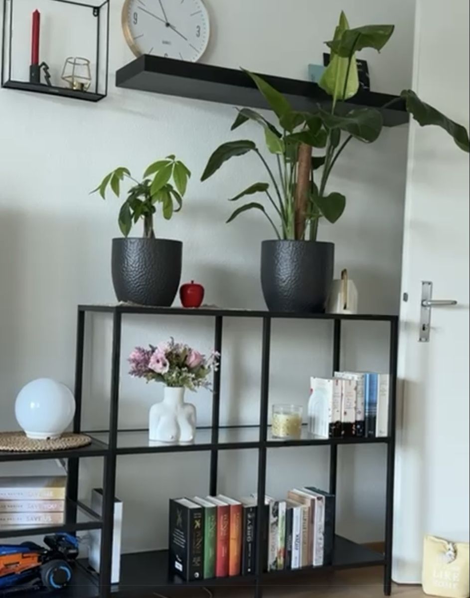 Ikea Scaffali: Regal – Nuovo (secondo la descrizione) da Zuchwil venduto da moa_kel