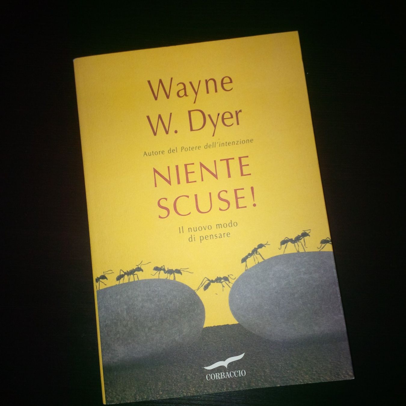 Libri: Libro "Niente scuse!" dell'autore Wayne W. Dyer – Usato da Breganzona venduto da FerrariTrading