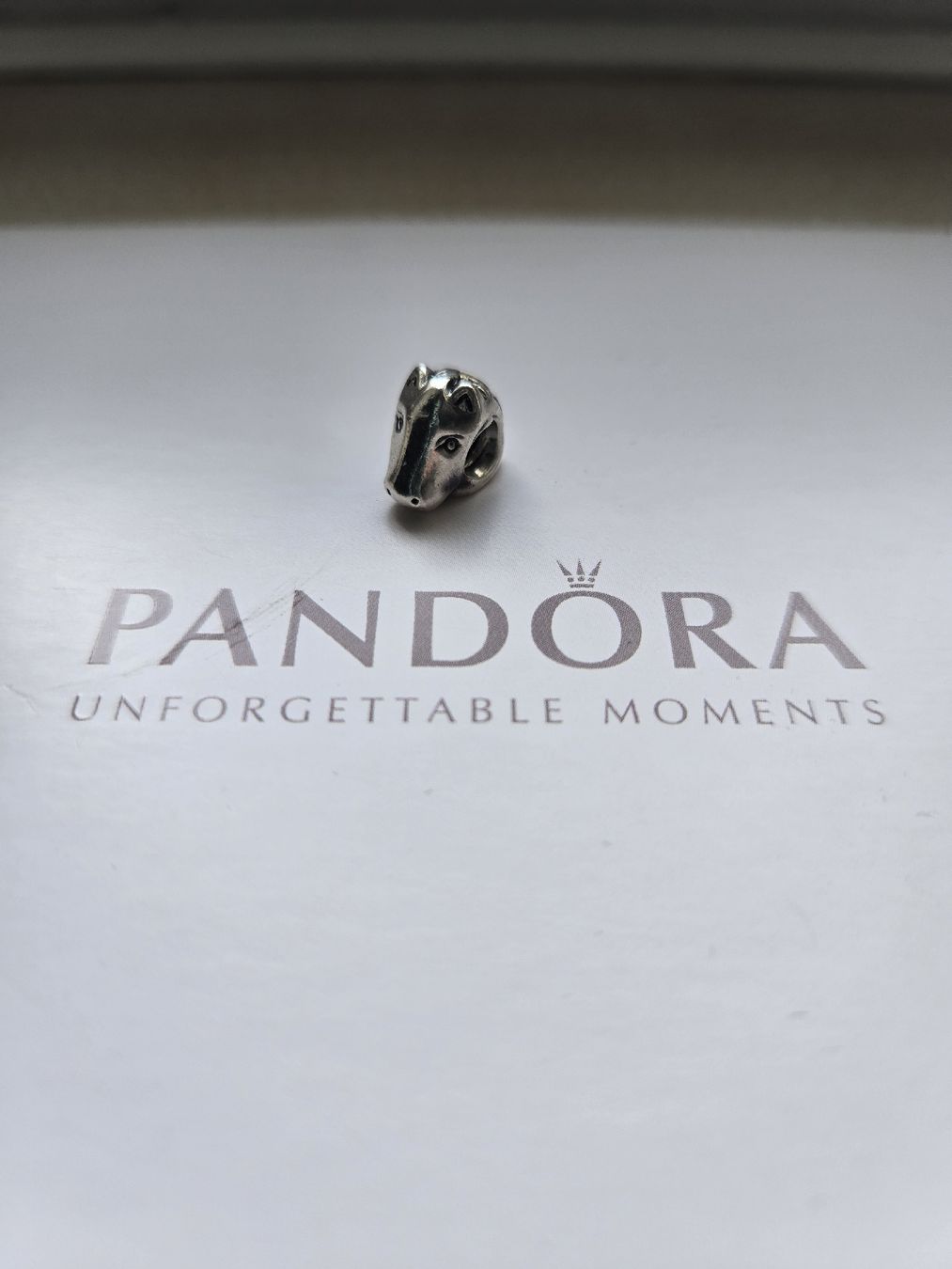 Pandora Ciondoli: Charms Pandora – Usato da Montet (Broye) venduto da CandiceD 5