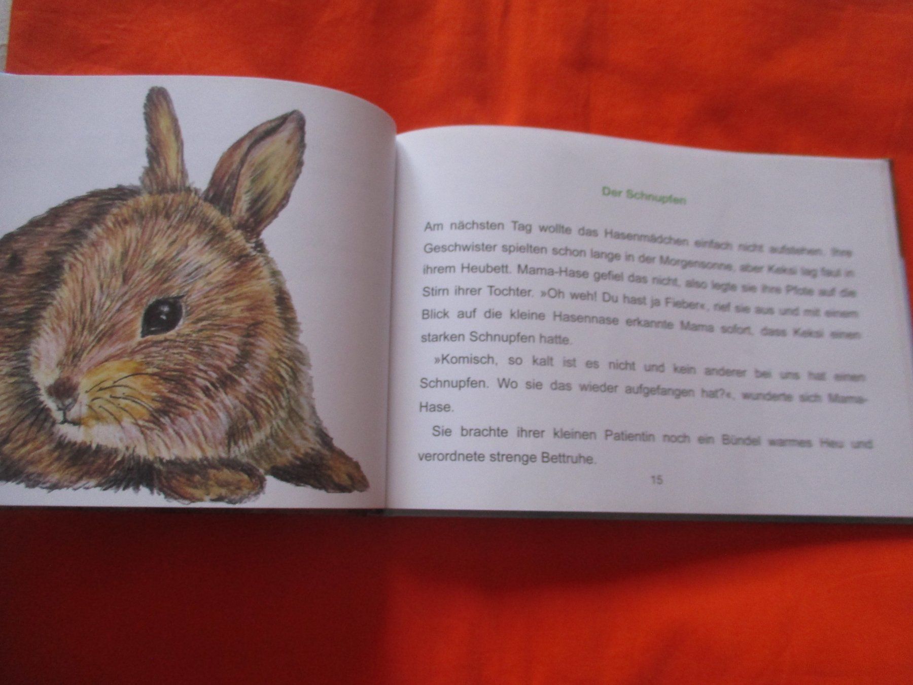 Libri: Buch Irgendwann Hase deutsch / englisch – Usato da Birsfelden venduto da alles-muss-raus 2