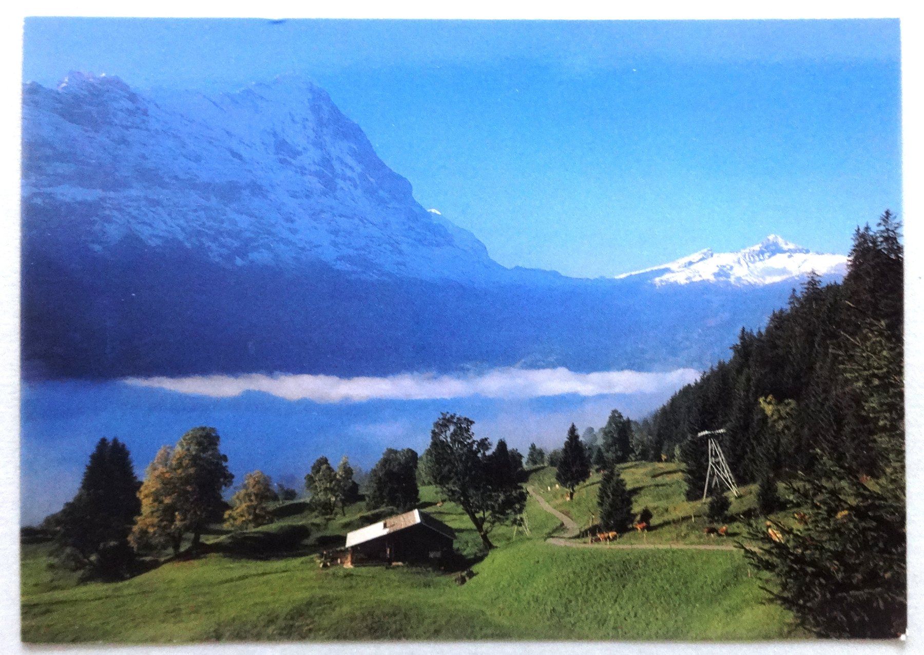 Ansichtskarten: Grindelwald, Eiger, Lauberhorn, Tschuggen – Gebraucht aus Fétigny von Billy2miny