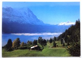 Grindelwald, Eiger, Lauberhorn, Tschuggen