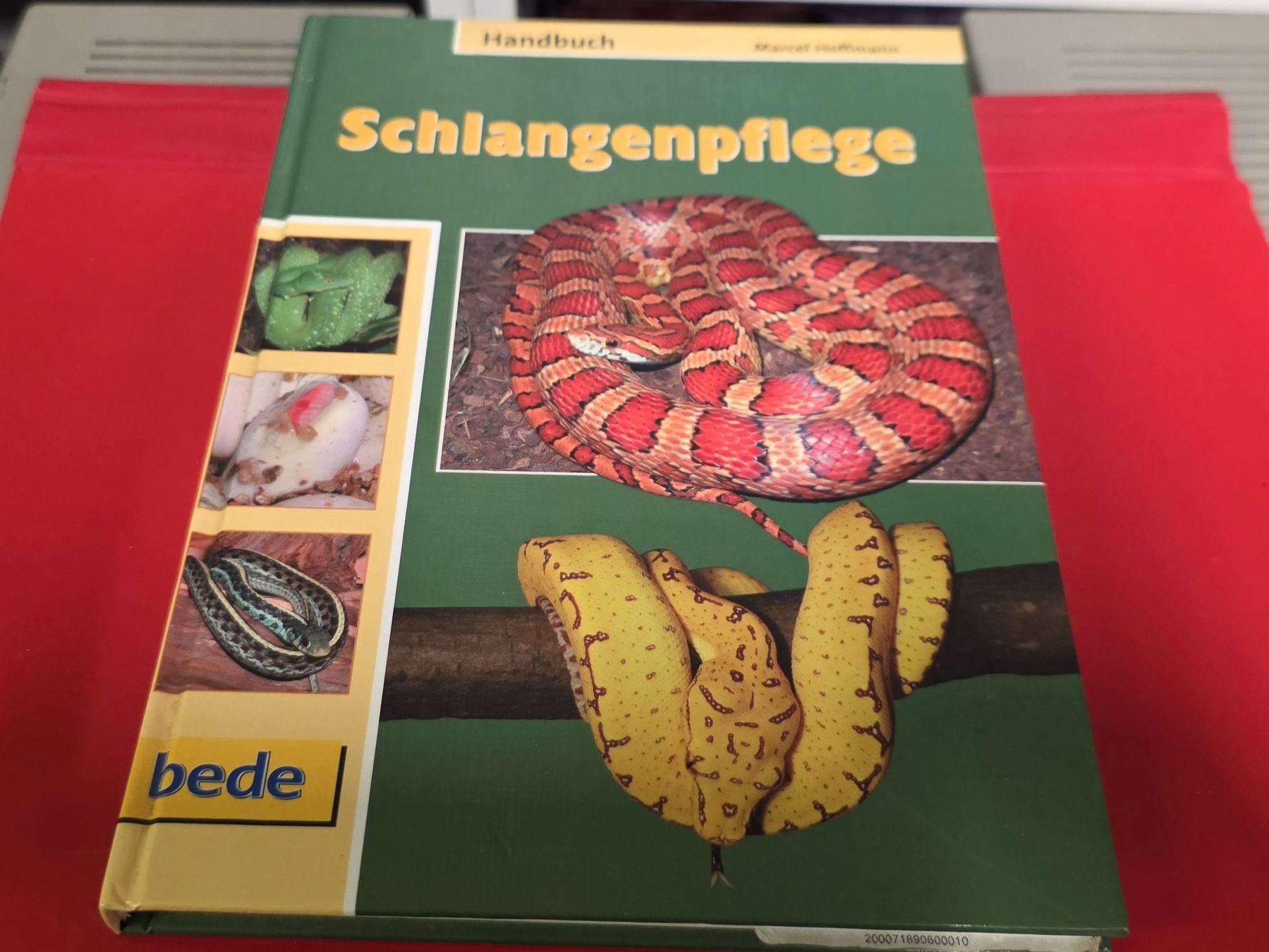 Libri: Schlangenpflege Handbuch (BUCH) – Usato da Reinach BL venduto da _MasterK_