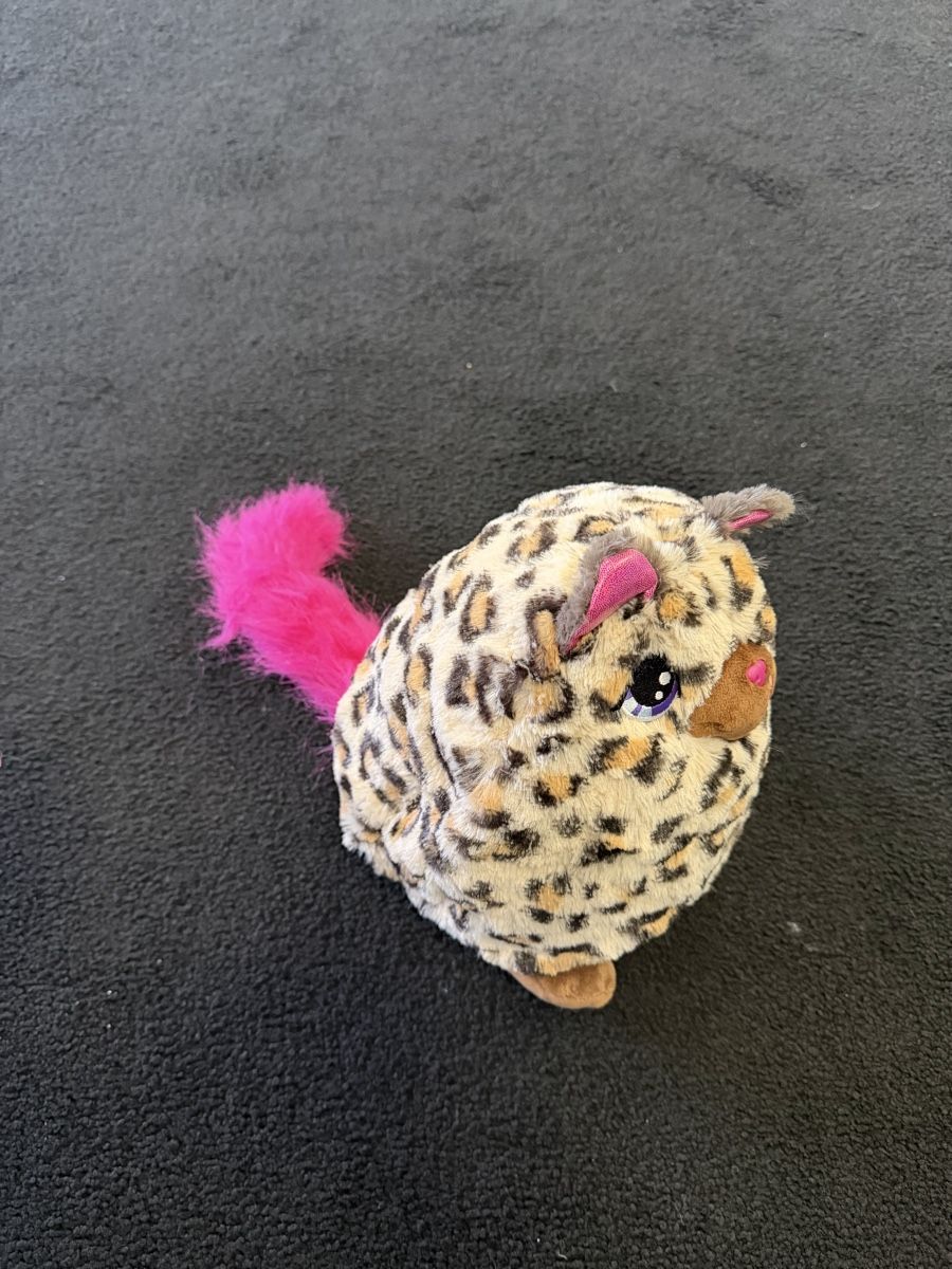 Giocattoli: Süsses Murmeltier Stofftier Leopard-Look - Kuschelig! – Usato da Winterthur venduto da ric_6jyz 1