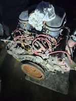 Renault Alpine 310 Motor