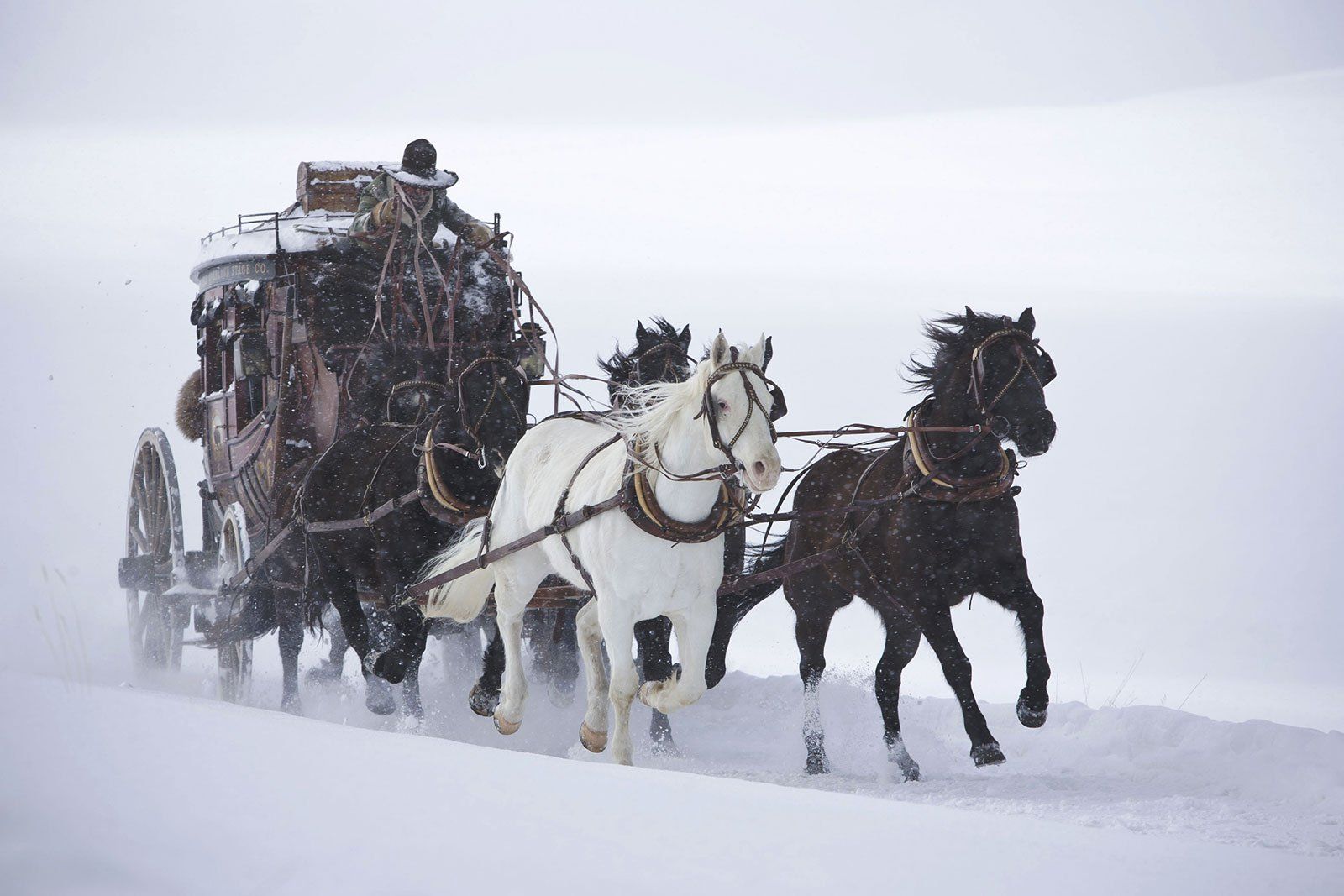 Tutti i DVDs: The Hateful 8 [Blu-ray] – Nuovo (secondo la descrizione) da Laupen ZH venduto da Moviesammler 8