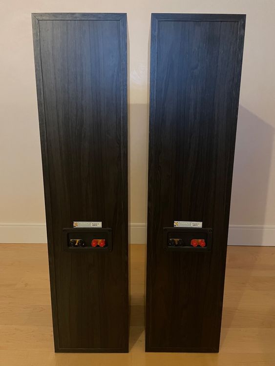 Tannoy Fusion Standlautsprecher (Gebraucht) in Affoltern am
