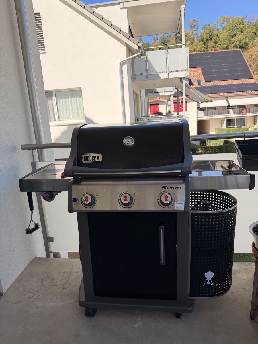 Griglie: Weber Grill – Usato da Ueken venduto da vbe_wgz6 1