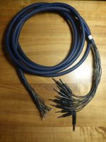 Audio Kabel Snake Multicore Gotham Neutrik 5,5 Meter (Nr.7)
