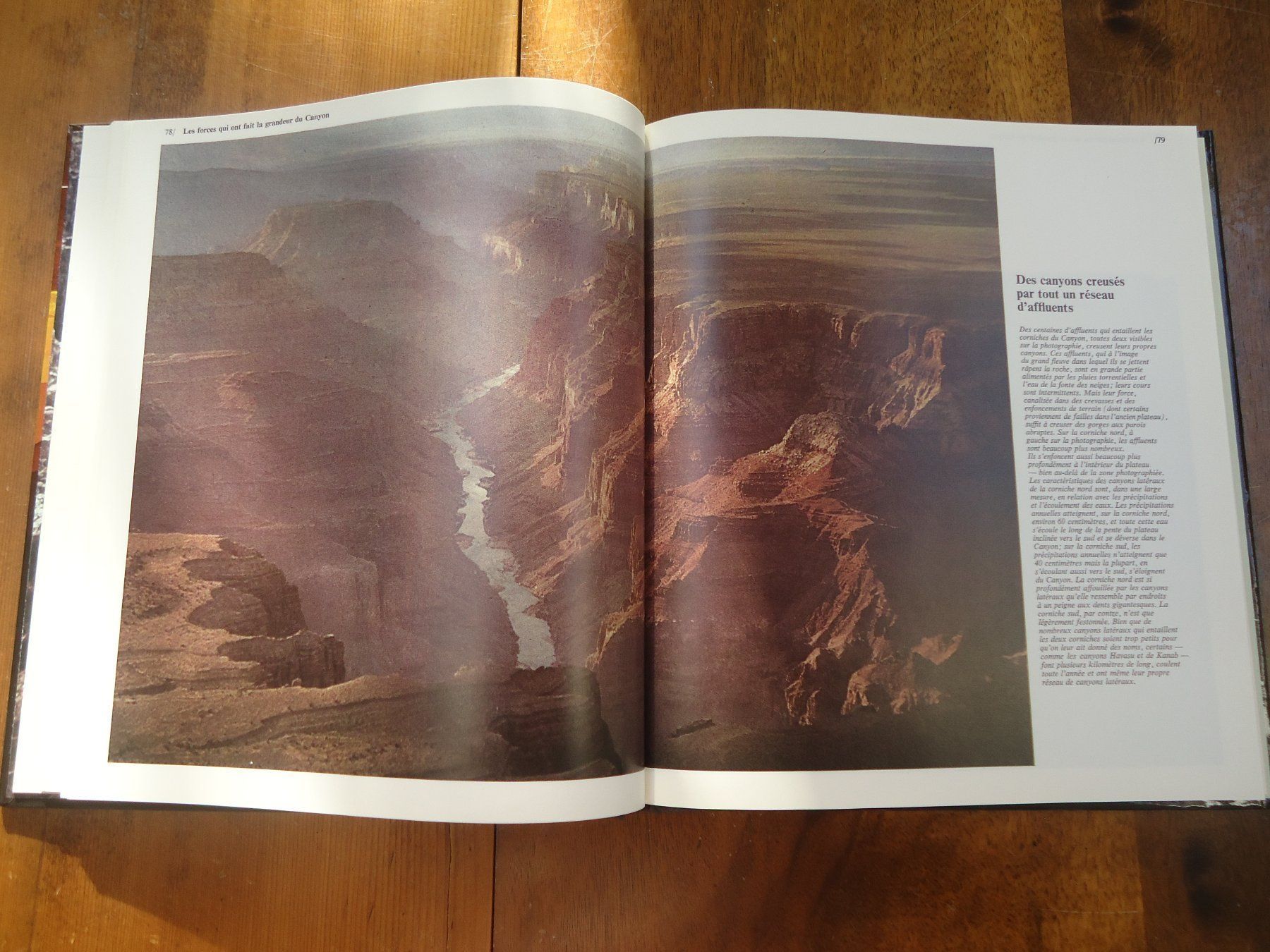 Libri: Le grand canyon – Usato da Vessy venduto da bm.par 2