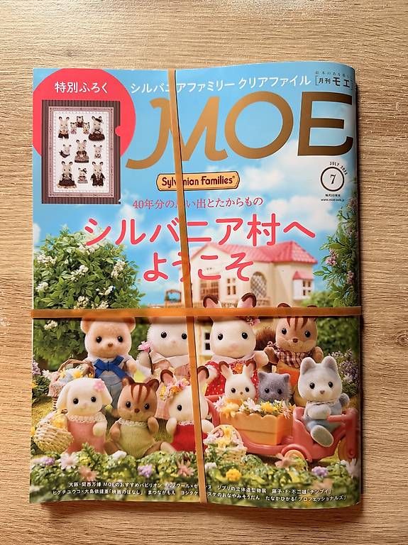 Sylvanian families Bambole: Sylvanian Families – Usato da Buchillon venduto da ell_9jjs 1