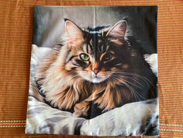 Kissenbezug, Zierkissen 45x45cm 🐈‍⬛... NEU