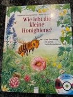 Wie lebt die kleine Honigbiene