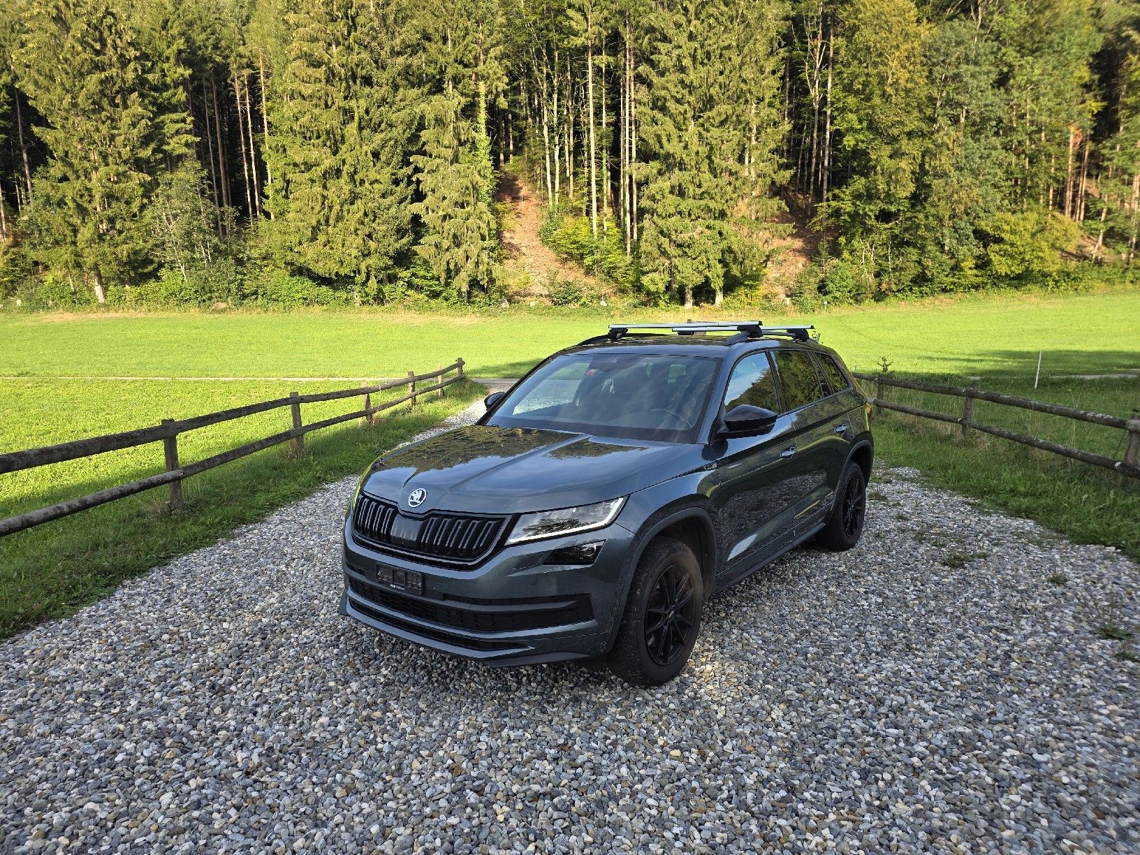 Skoda Autos: Skoda Kodiaq – Gebraucht aus Attalens von bouebo10