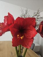 Künstliche Amaryllis Blumen rot mit Deko Zweigen