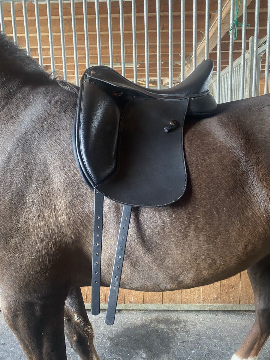 Selle & Accessori: Dressur Sattel – Nuovo (secondo la descrizione) da Appenzell venduto da gio_6j87 4