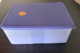 Tupperware Kühlschrank-/  Tiefkühlbehälter