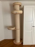 Katzenbaum