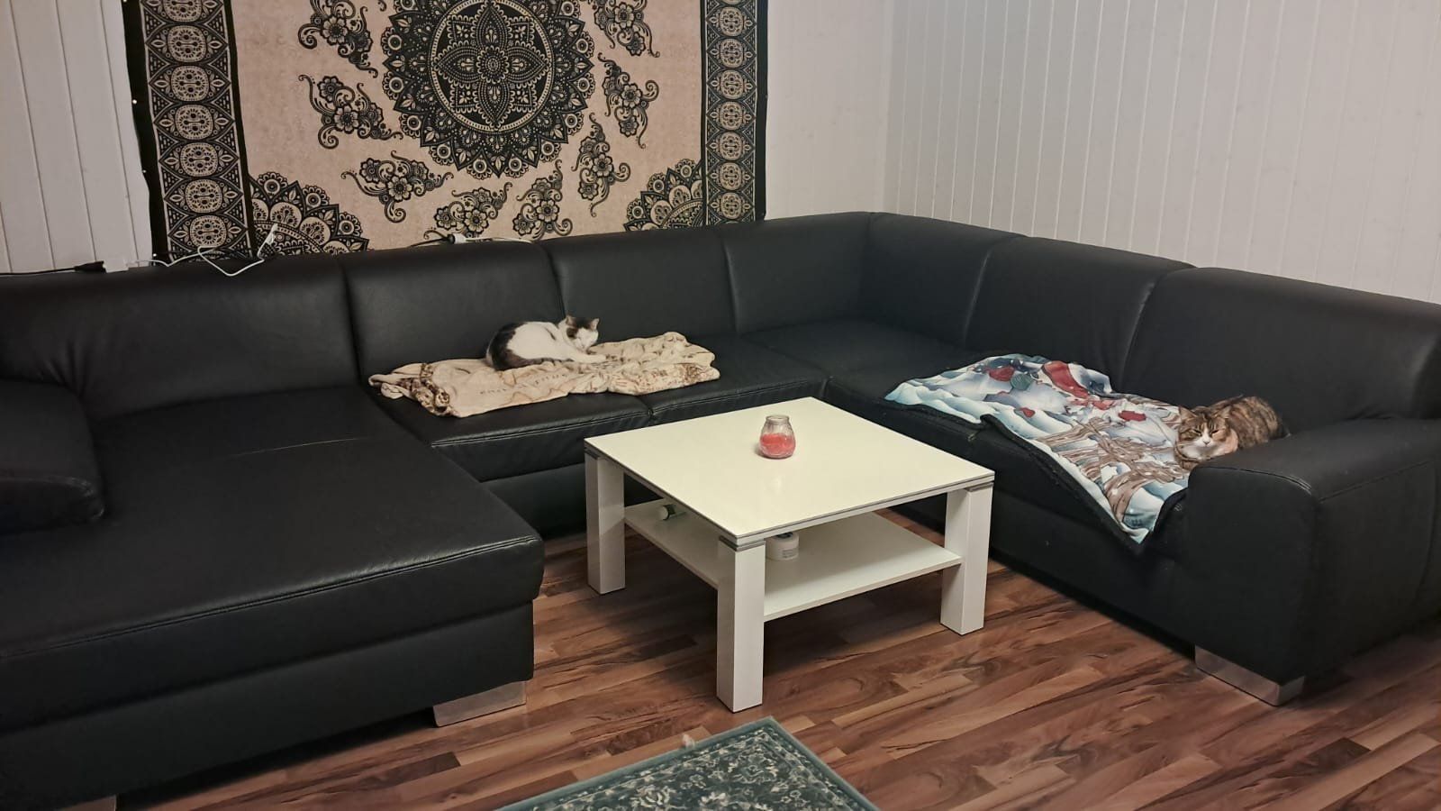 Divani: Grosses Schwarzes Ecksofa mit Katzenspuren. – Usato da Wiesenberg venduto da Naragarth