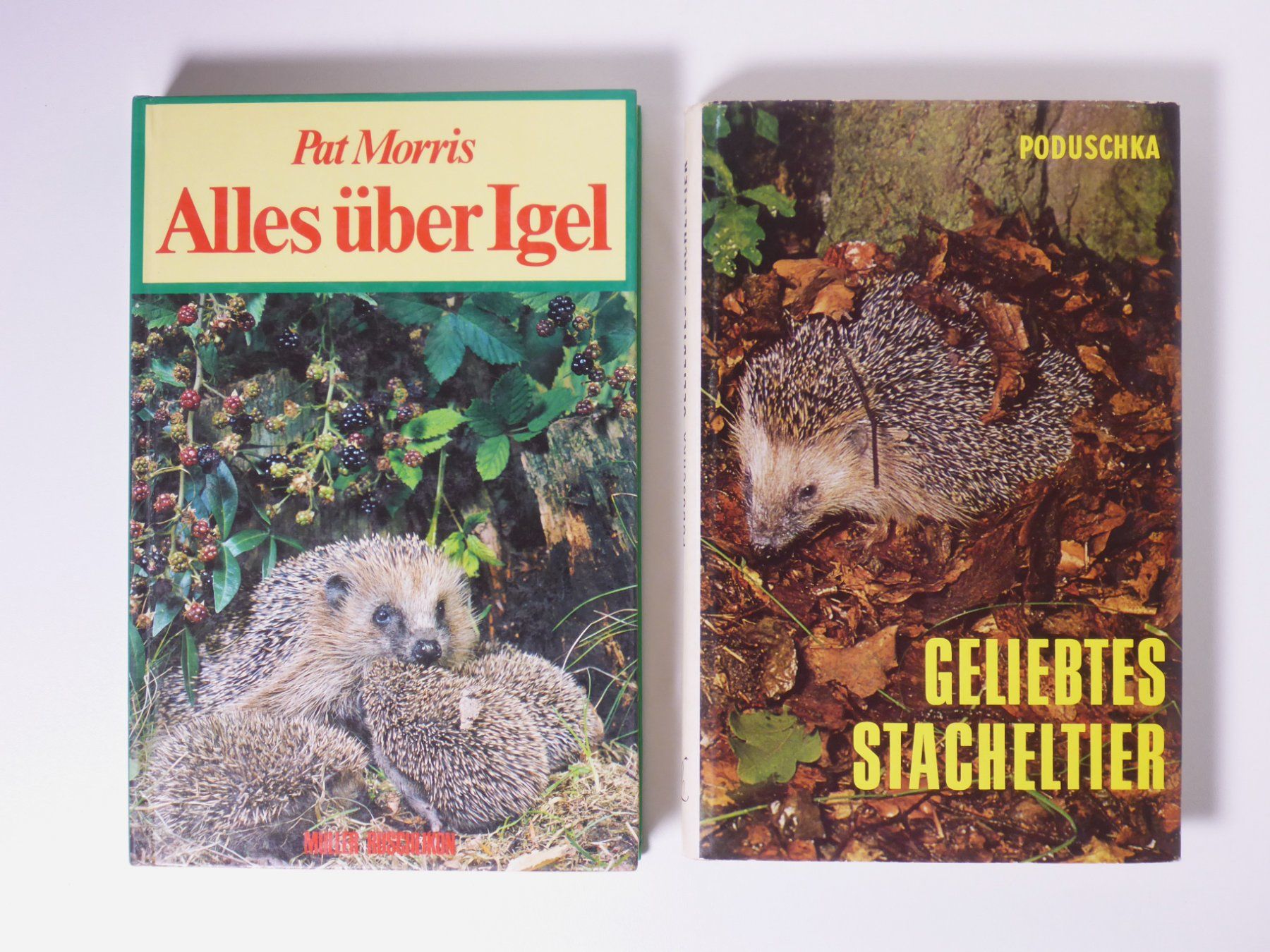 Libri: Igel, 2 Titel siehe Foto. – Usato da Erschwil venduto da taglang