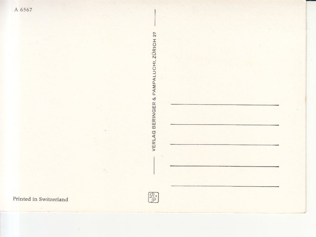 Cartoline postali: Pferd Porträt, ca. 1970 – Usato da Bürglen TG venduto da StampGraf 1