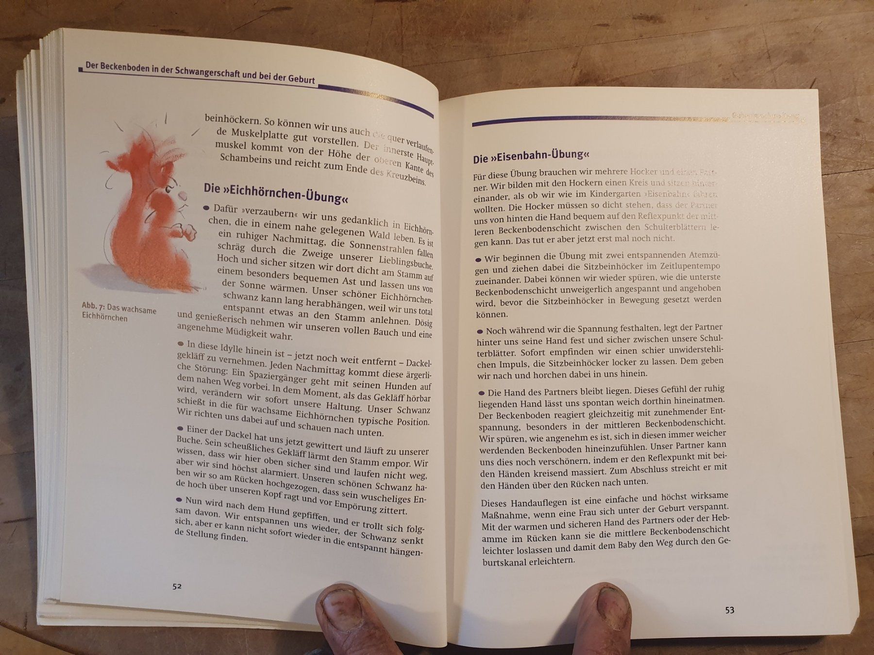 Libri: Beckenbodentraining Susanne Kitchenham Annette Bopp Trias – Usato da Zürich venduto da loosebone 3