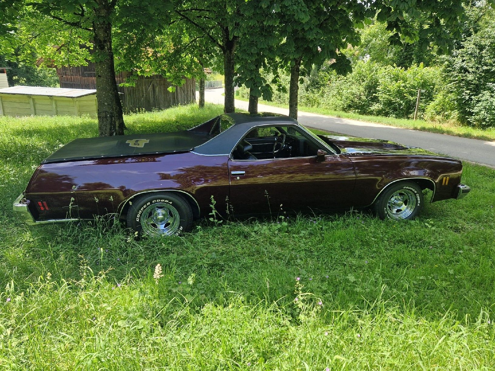 Chevrolet Automobili: Chevrolet El Camino SS – Usato da würenlos venduto da Flap1 4