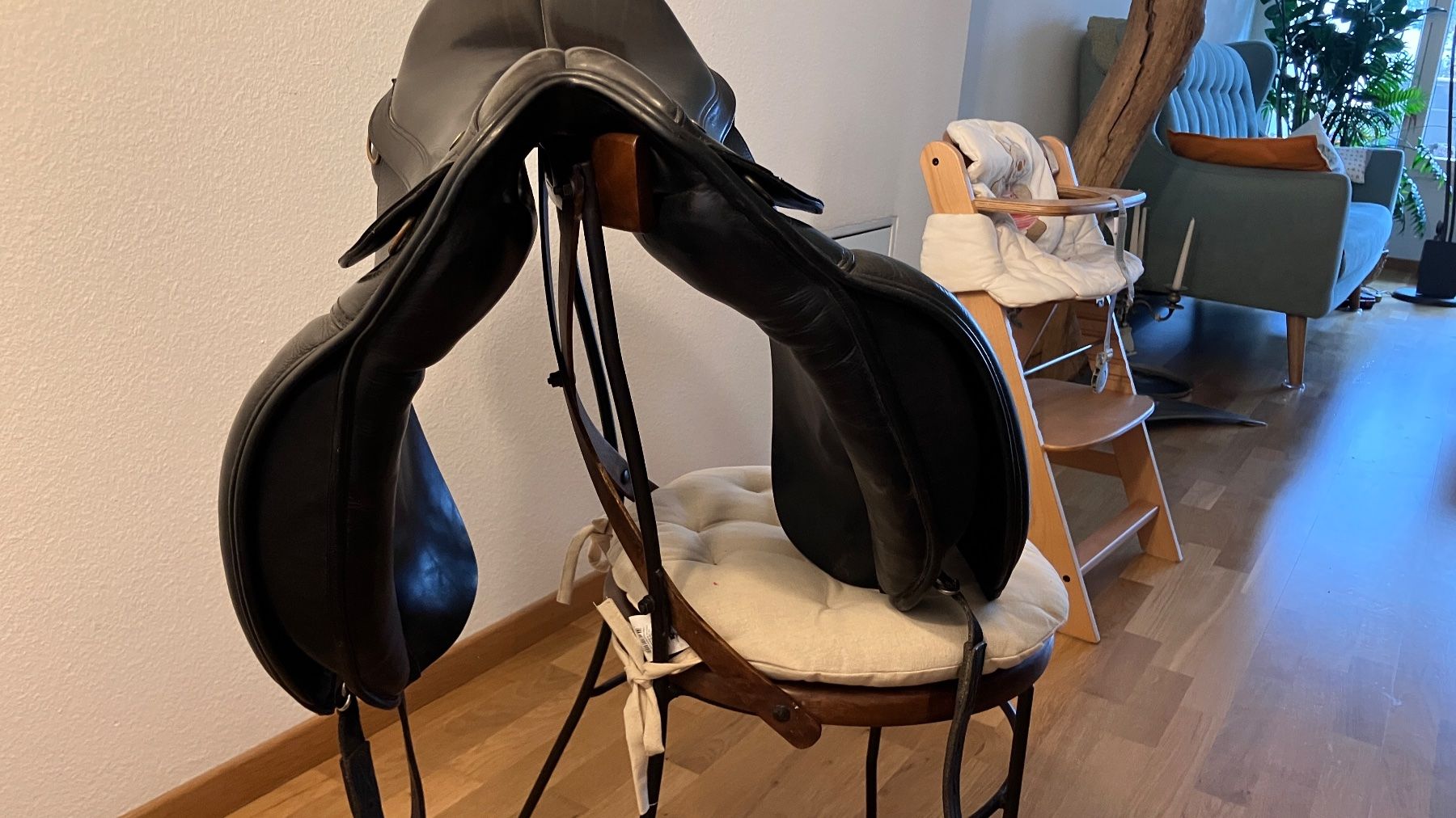 Selle & Accessori: Selle de Cheval Top Reiter 17" – Usato da wettingen venduto da Vivos 2