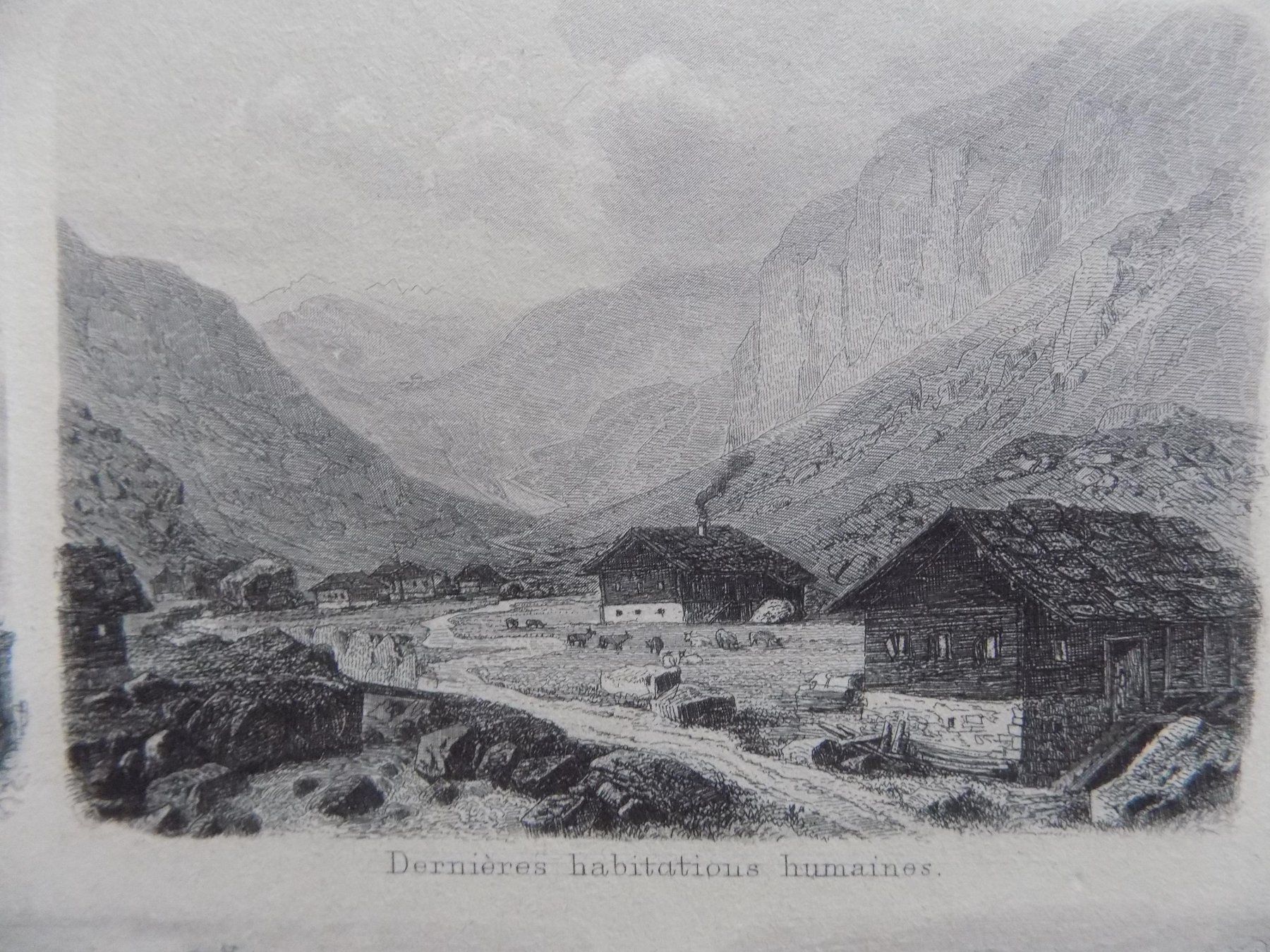 Incisioni: Types des maisons – Usato da Risch venduto da Rischli15 4