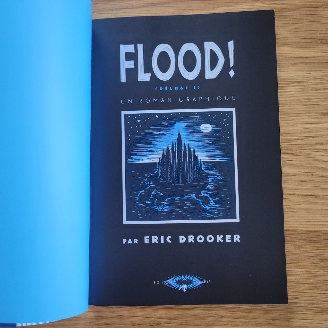 BD: BD EO Flood Un Roman Graphique – D'occasion à Biel/Bienne par Destockweb 4