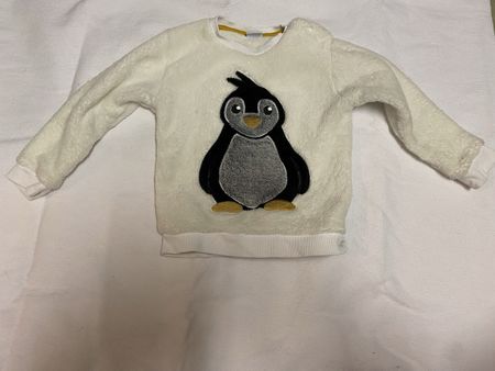 Winterpullover in Grösse 98