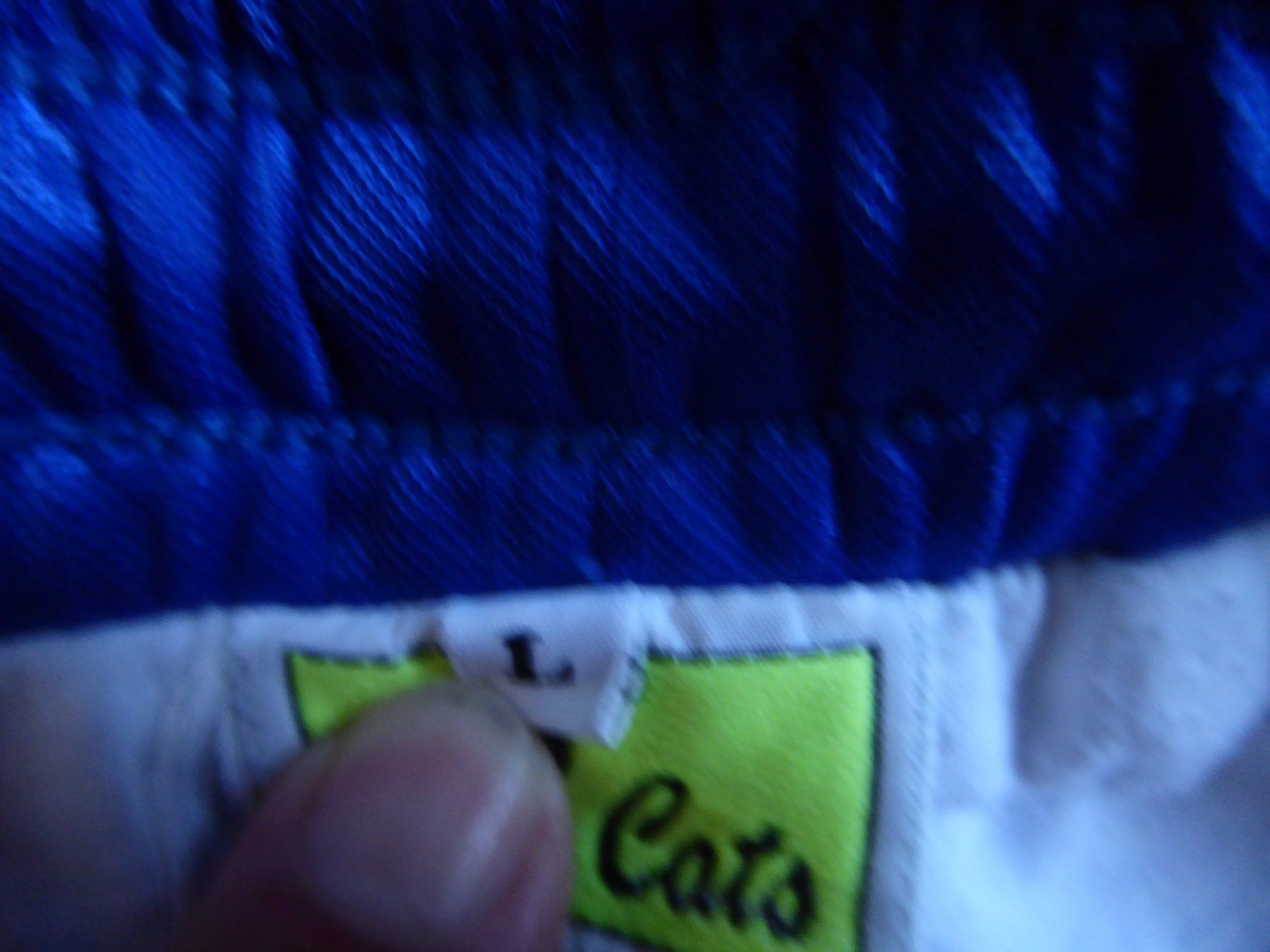 Pantaloni: Turnhosen – Usato da Brislach venduto da hueg54 4