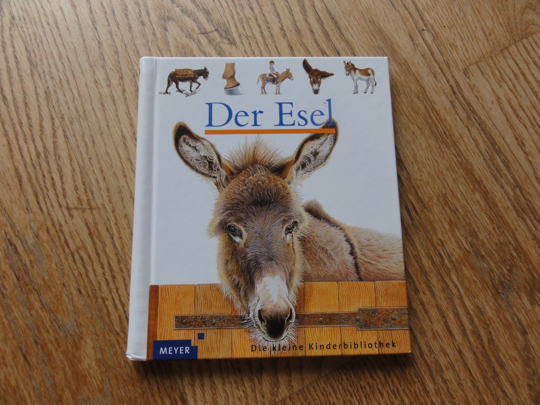 Libri: Der Esel – Usato da Riedholz venduto da Taweva