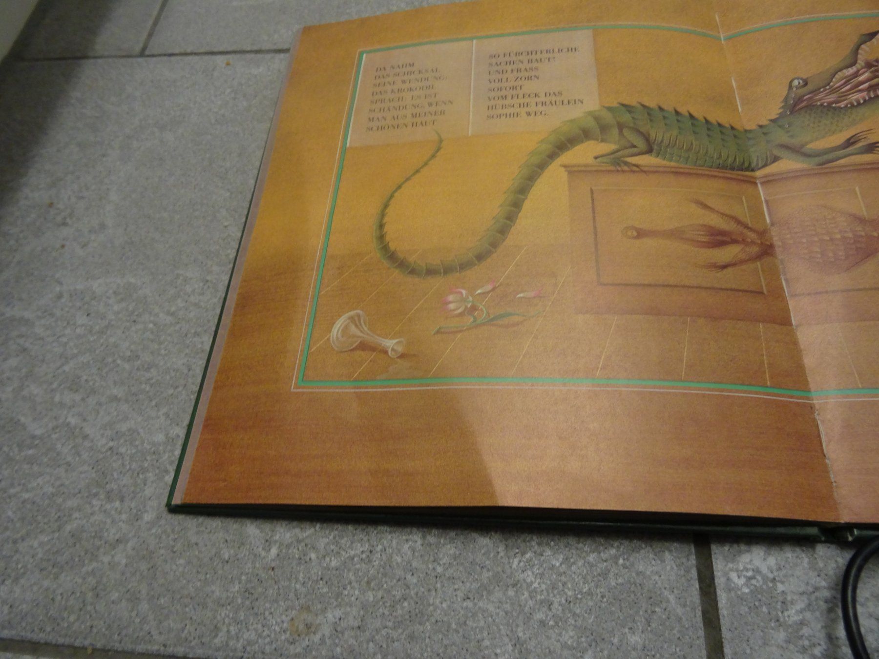 Libri: KROKODIL KROKODIL - Schröder, Nickl Kinderbuch – Usato da Olten venduto da pechsisa1 3