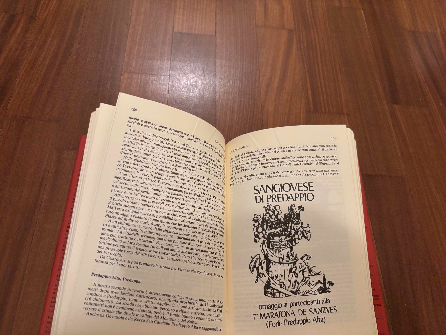 Libri: Passeggiate in Emilia Romagna – Usato da Lugano venduto da Mark_Young 2