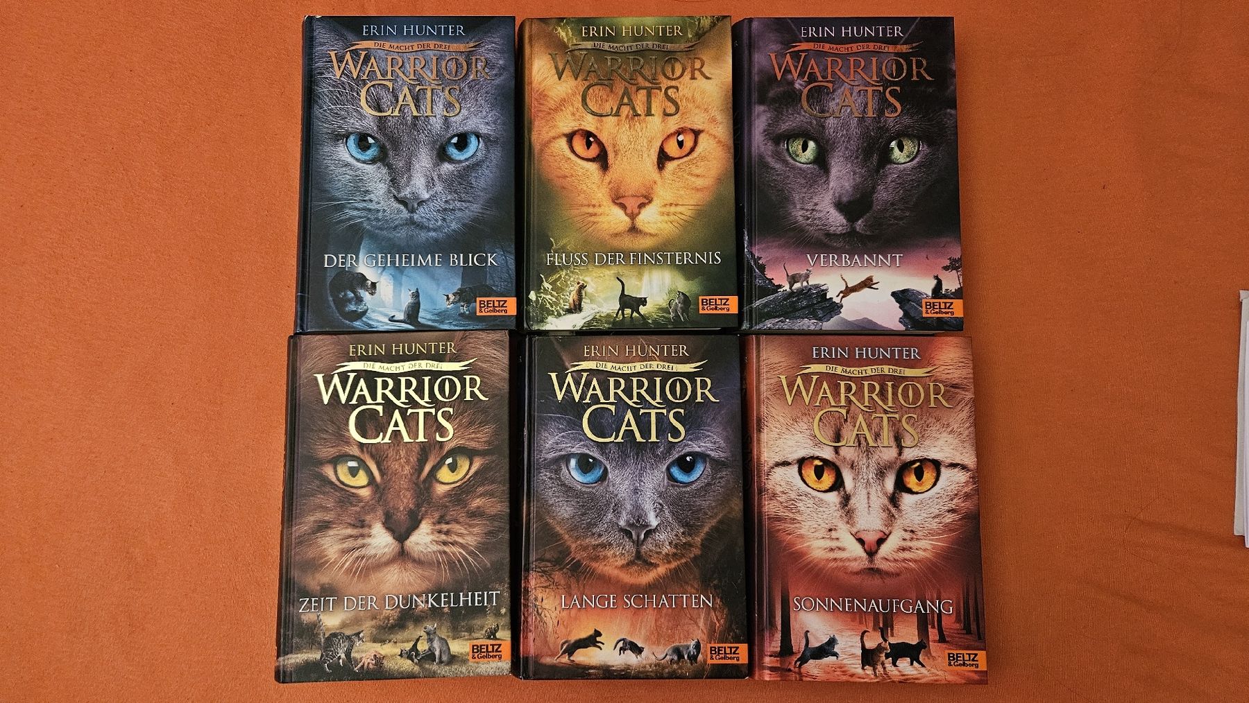 Libri: Warrior Cats Staffel 3 – Usato da Grenchen venduto da ailina_aeschlimann 1