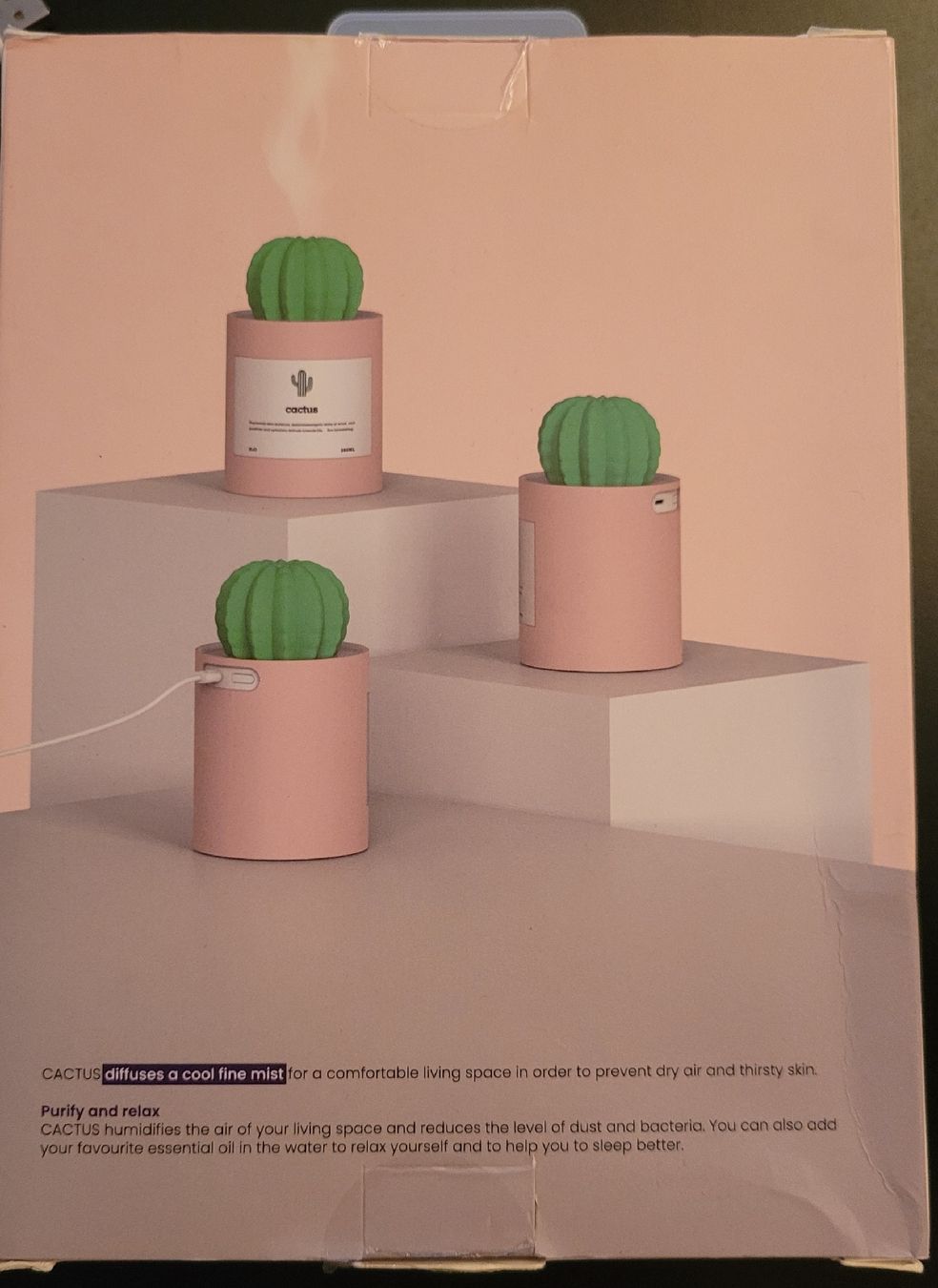 Umidificatori d'aria: Cactus Luftbefeuchter, Diffuser, neuwertig! – Usato da Linthal venduto da Mhexli 1